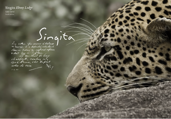 Singita Ebony Lodge brochure Courtesy Singita Game Reserves