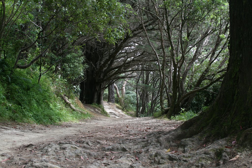 Outside of Wellington, New Zealand, where Frodo tells his companions to get off the road.