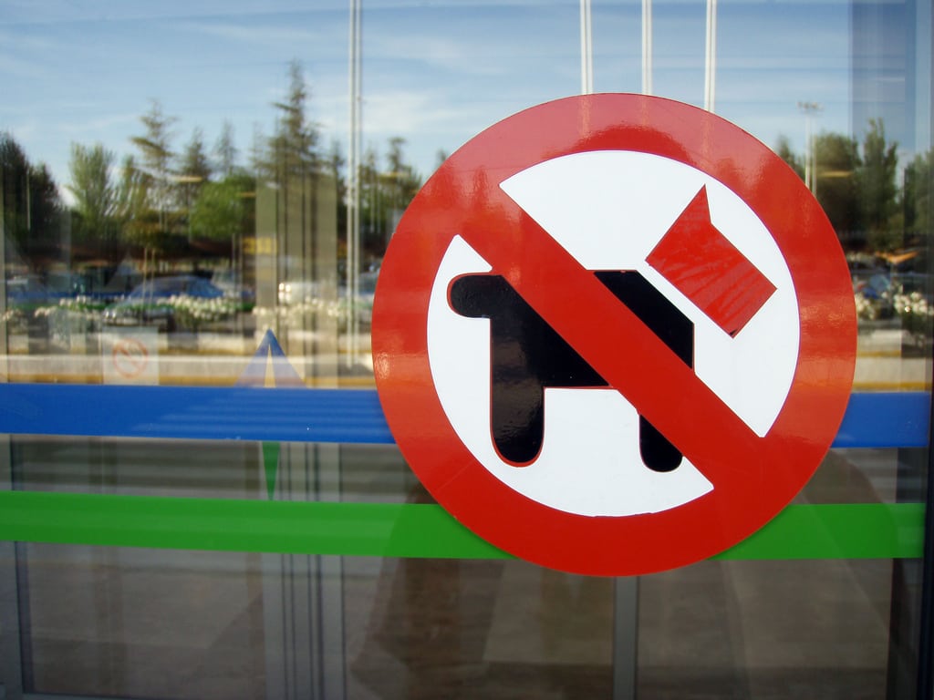 A sign prohibiting pets at the airport in Grenada, Spain.