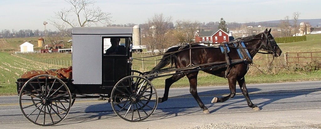 Some people still travel by horse and buggy in Lancaster, Pennsylvania. 