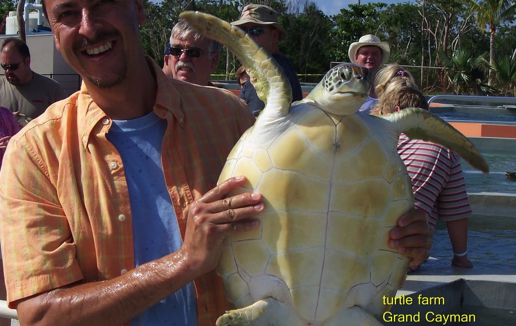 A patron of the Turtle Farm poses with a sea turtle. 