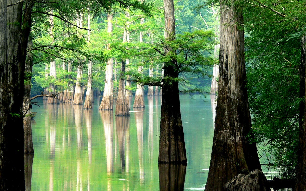 White River in Arkansas, now a "National Blueway", only the second such designation in U.S. 