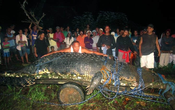 Residents watch as Mayor Cox Elorde of Bunawan township, Agusan del Sur province pretends to measure "Lolong," a huge crocodile. 