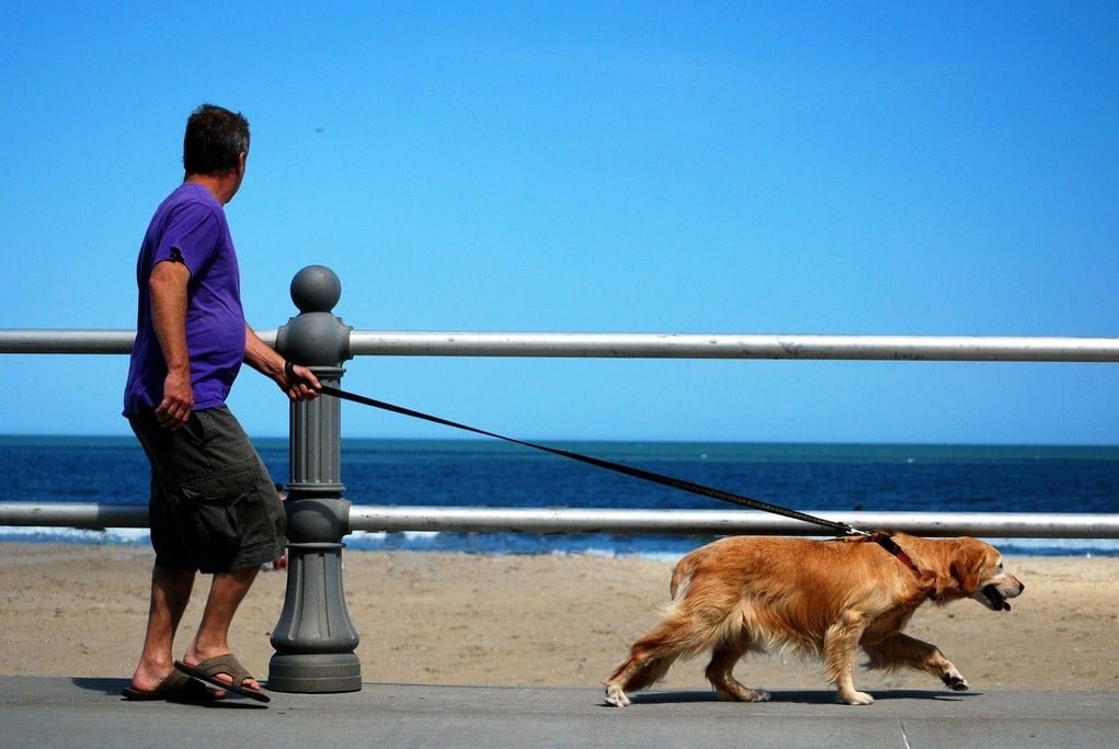 A man walks his dog on Virginia Beach. 