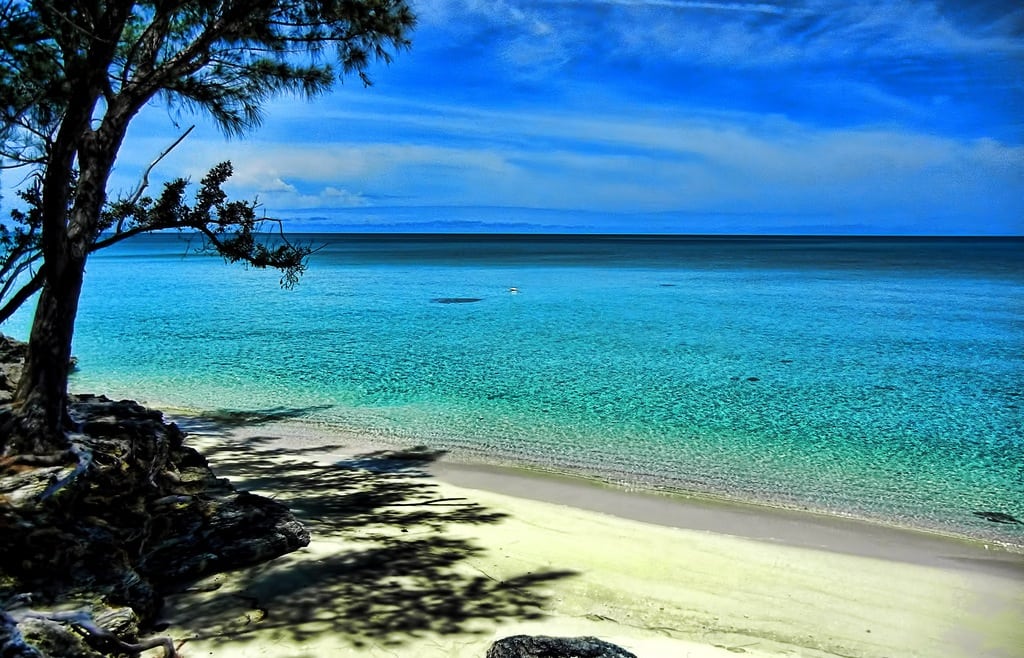 Beach scene at Eleuthera, Bahamas. 