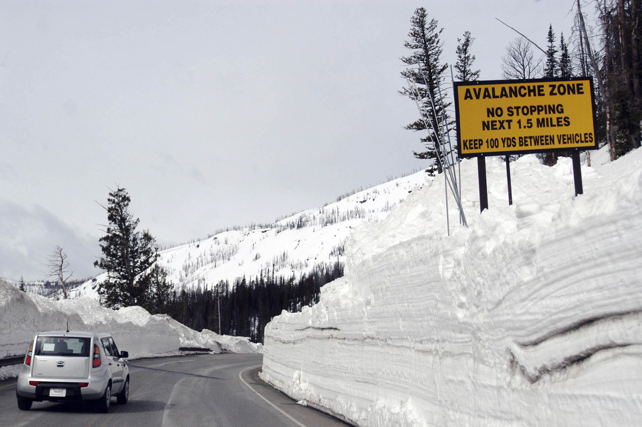 A car travels the newly plowed east entrance road over Sylvan Pass in Yellowstone National Park shortly after the park opened in this photo taken in May 2011