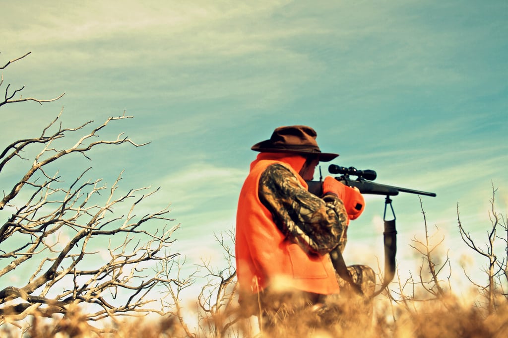 Gun-toting hunters are staying away from Colorado, in protest. 