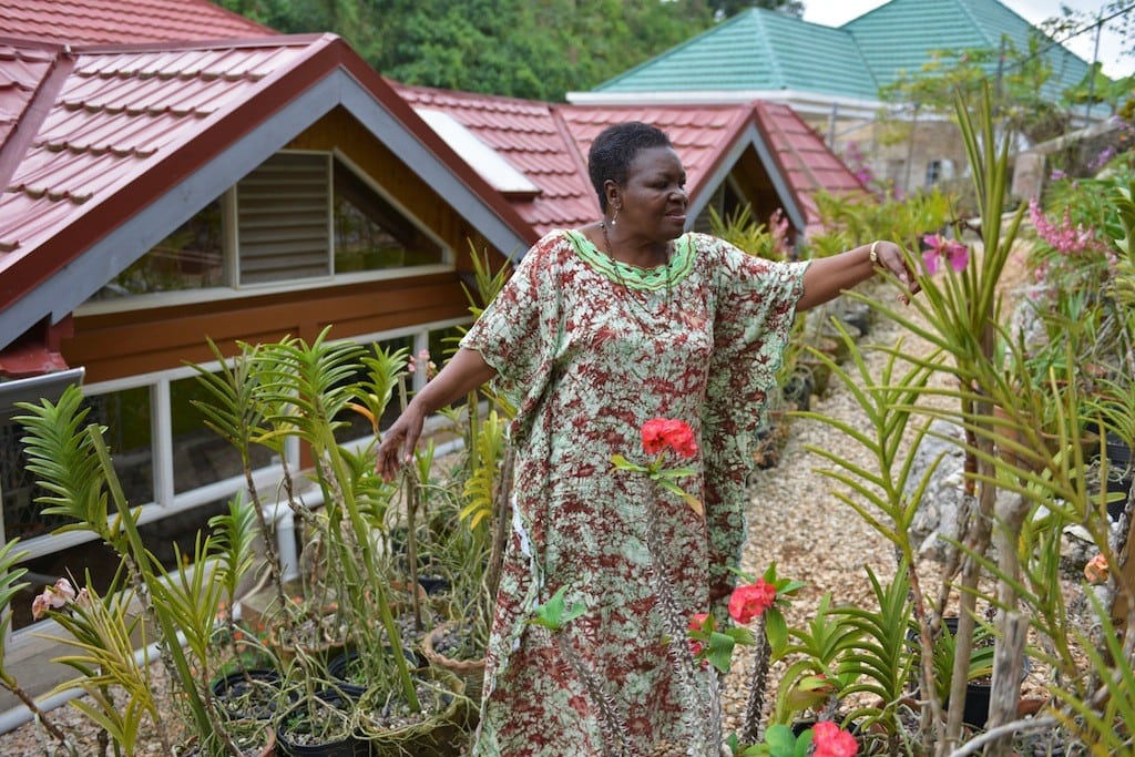 In this March 14, 2013 photo, Jasmine Pottinger, a 73-year-old retired nurse, tends to her terraced backyard garden at her home in Mandeville, central Jamaica.  