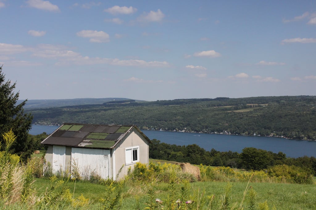 A tranquil August afternoon in the Finger Lakes region of upstate New York. 