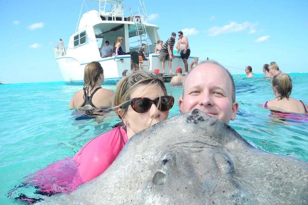 Tourists plant an solicited kiss on a stingray in Stingray City in the North Sound of Grand Cayman. 