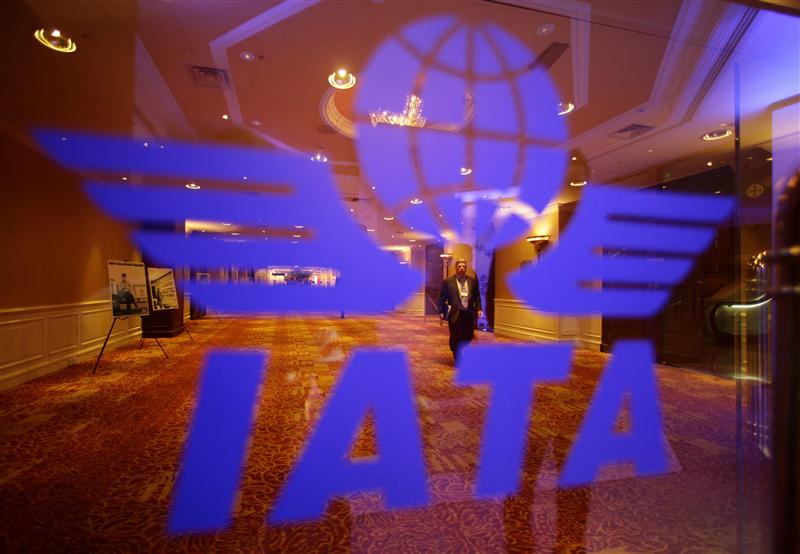 A delegate of the 68th International Air Transport Association (IATA) annual general meeting is pictured through an IATA logo in Beijing. 