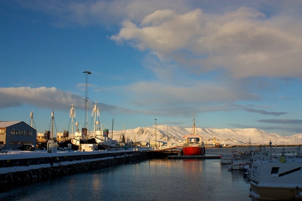 To the left, the black-hulled whaling ships. To the right, the red-hulled whale-watching ship. 