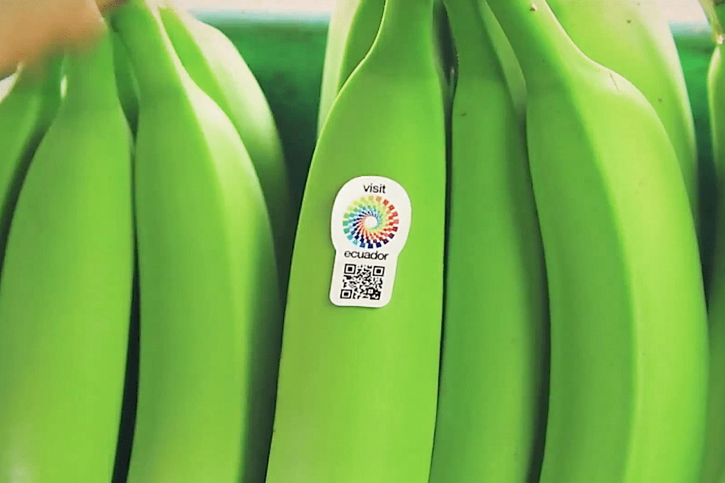 Ecuador's Ministry of Tourism placed QR codes on bananas, turning fruit into tourism advertisements. 