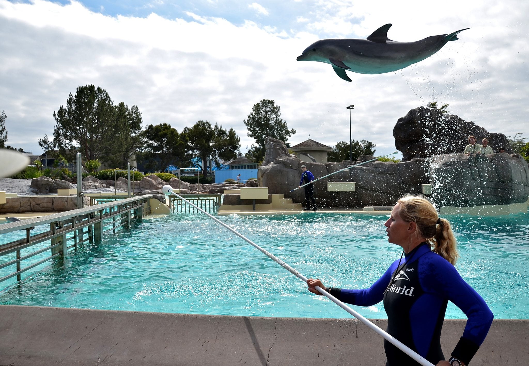 A dolphin takes a high leap at SeaWorld in San Diego, California. 