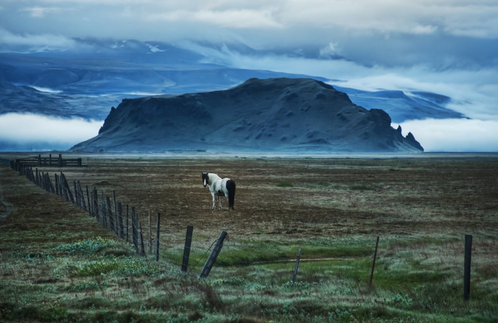 Iceland, the fastest growing European destination this year.