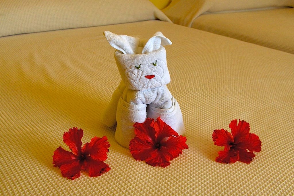 This puppy-shaped towel sculpture was left for a guest at the Allegro Resort in Cozumel, Mexico. 