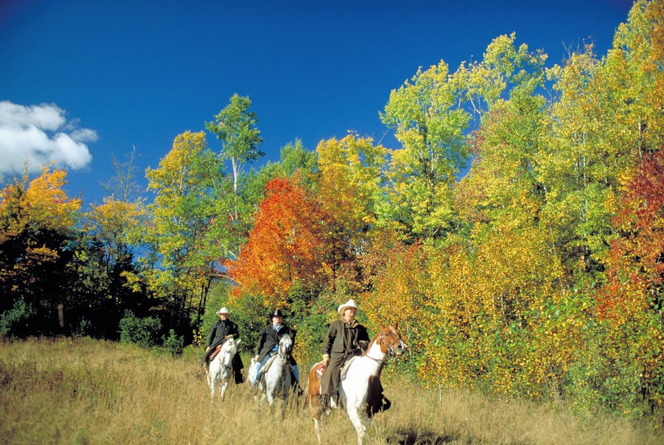 Horse-back riding during fall in New Brunswick, Canada.