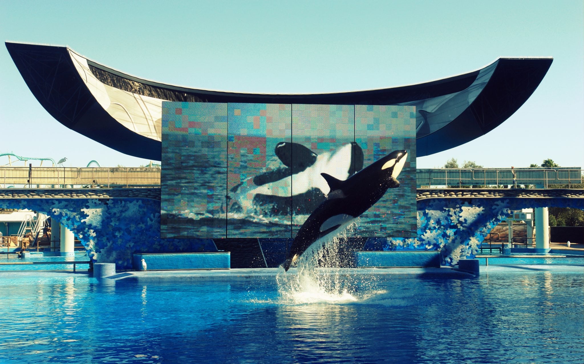 Seaworld may have less to worry than what the media controversy says , at least for now.