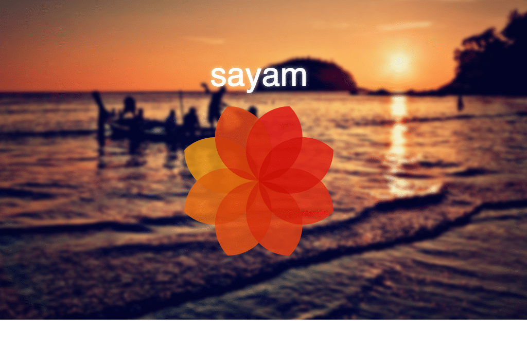 Tai Sayam's core product is a custom platform that allows users from micro-manage their entire trip and then set it on auto-pilot.