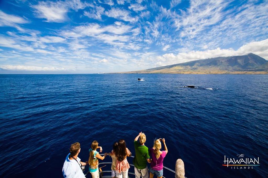 Expedia staffs concierge desks at several Hawaiian resorts as well as in other tourism locations. Pictured, is a whale-watching tour in Hawaii.