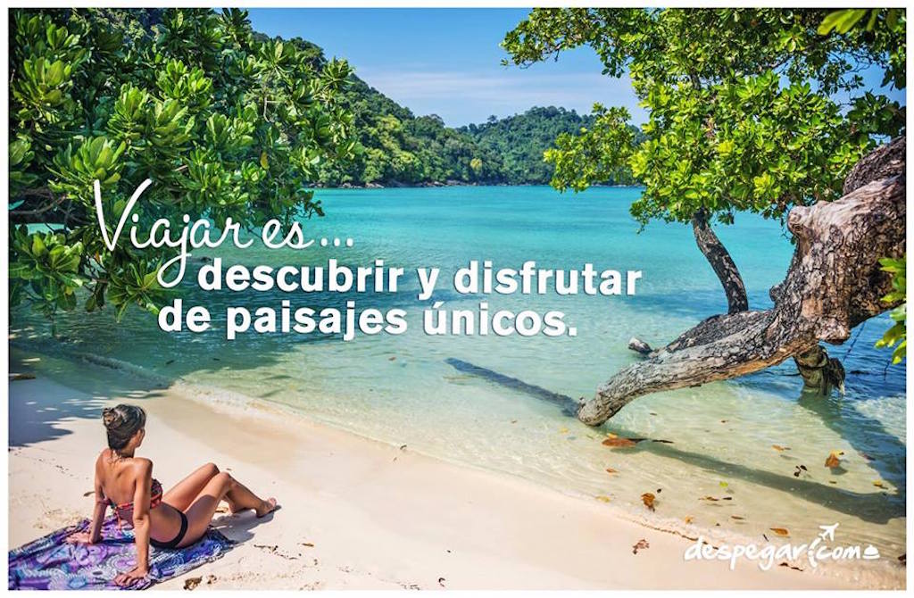 Expedia Inc. took a minority stake in Despegar, the leading online travel agency in Latin America.