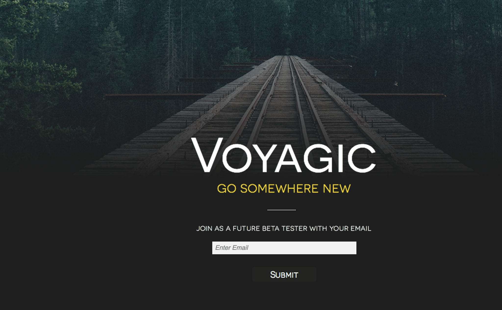 Voyagic is a trip-planning mobile app.