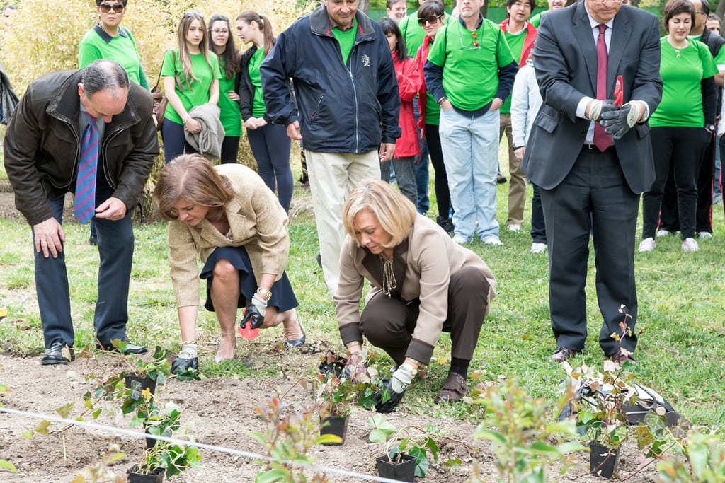 World Travel & Tourism Council members planting trees in Madrid, Spain on Tuesday, April 14, 2015 as part of the organization's "Tourism Cares" initiative. 