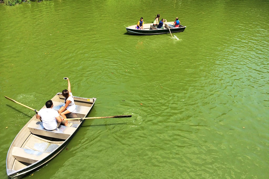 Foreign visits to the U.S. in 2016 began to drop off after last summer. Pictured are tourists in boats at Central Park in New York City. 