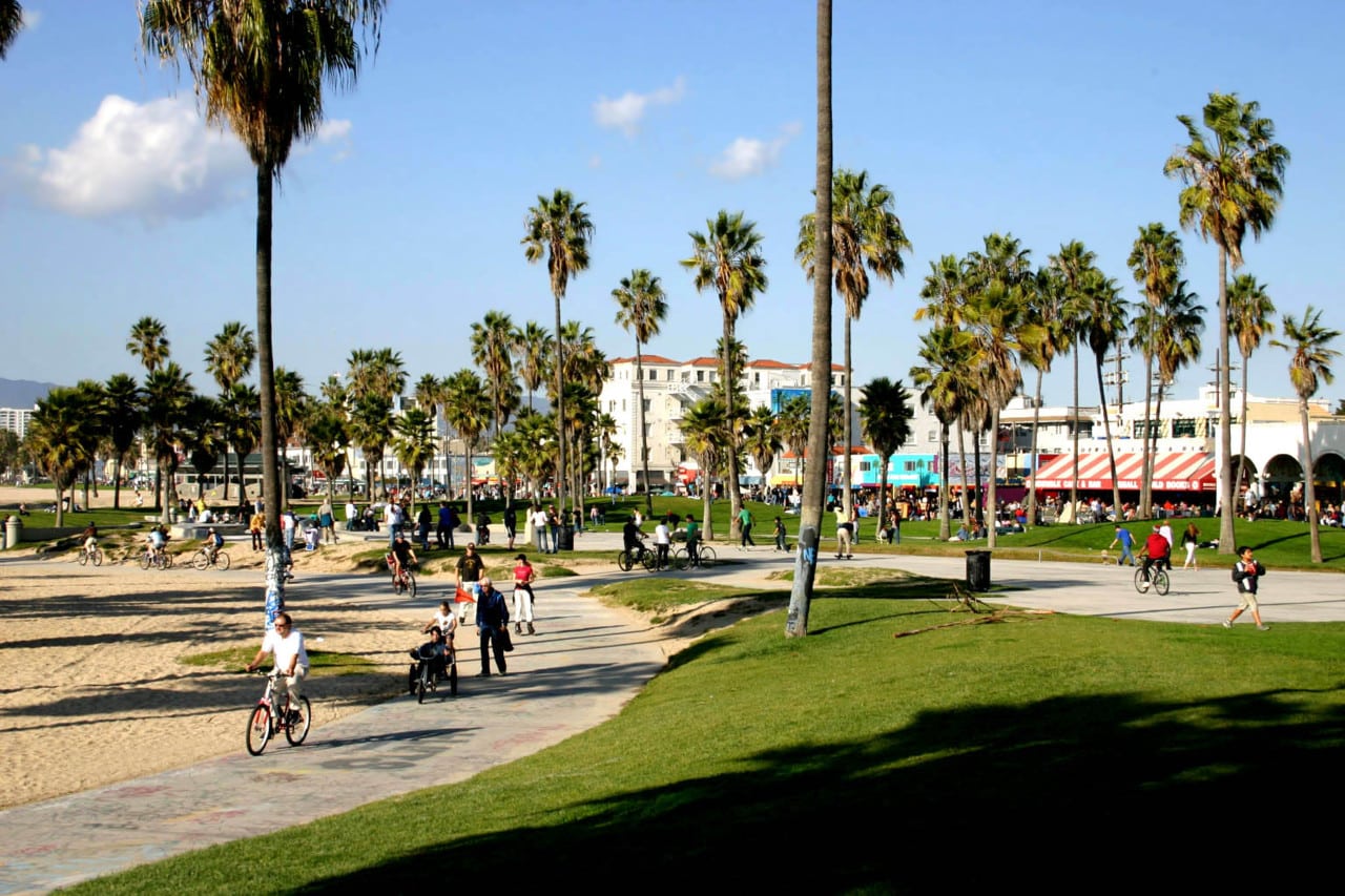 Tourist and locals ride bikes along Venice Beach.