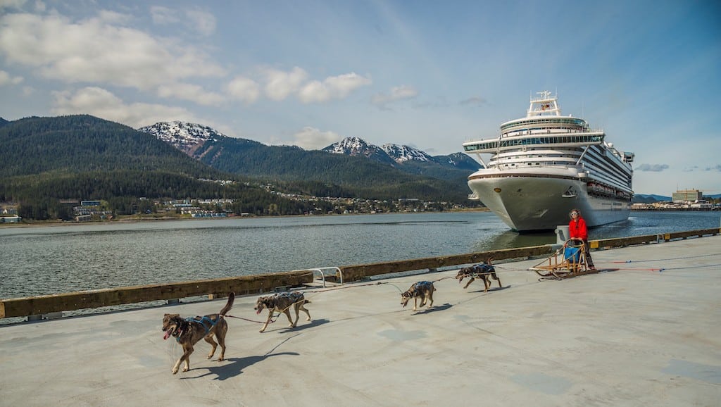 A dog sled team driven by Maliko Ubl from the TEMSCO Helicopters Mendenhall Glacier Dog Sledding Tours and Alaska Icefield Expeditions welcomes the “Ruby Princess” to the port of Juneau during its maiden voyage in Southeast Alaska.