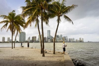 Most of Airbnb’s Miami Revenue Is From Commercial Hosts New Study Suggests