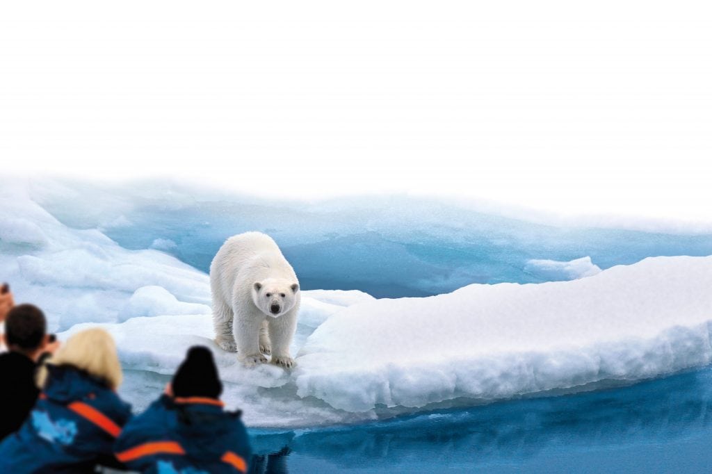 Passengers onboard MS Bremen view a polar bear in the Arctic. Hapag-Lloyd Cruises is adding another two ships to its fleet.