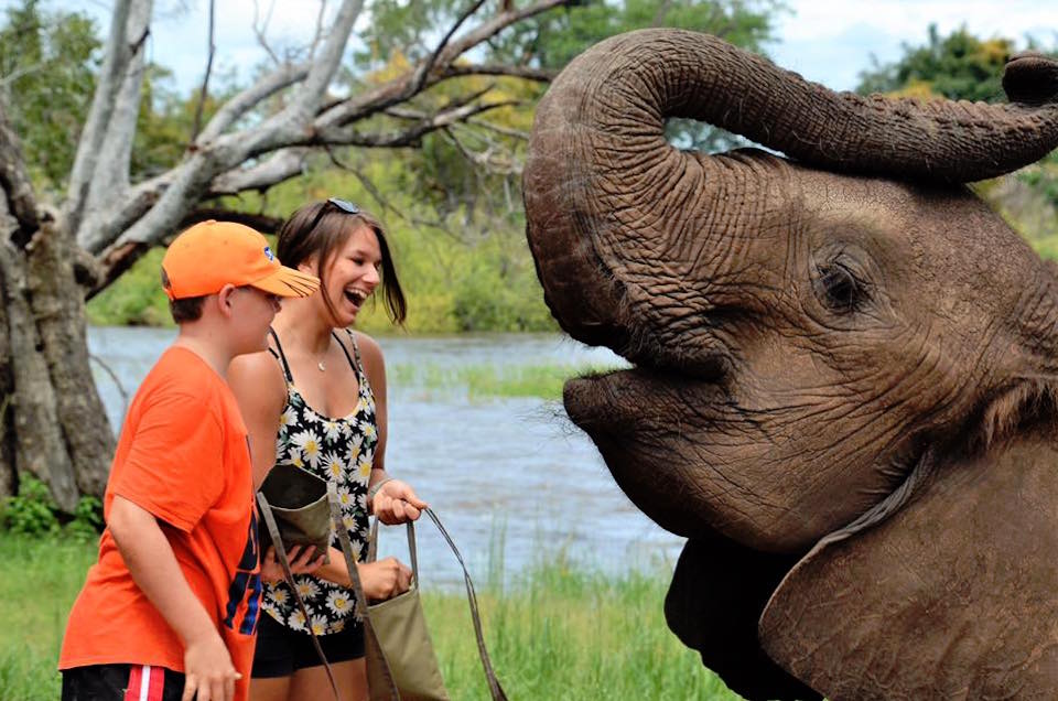 Travelers interacting with an elephant near the Victoria Falls Waterfront in Livingstone, Zambia. Zambezi Elephant Trails says it will end its elephant-riding operations by the end of 2017.



