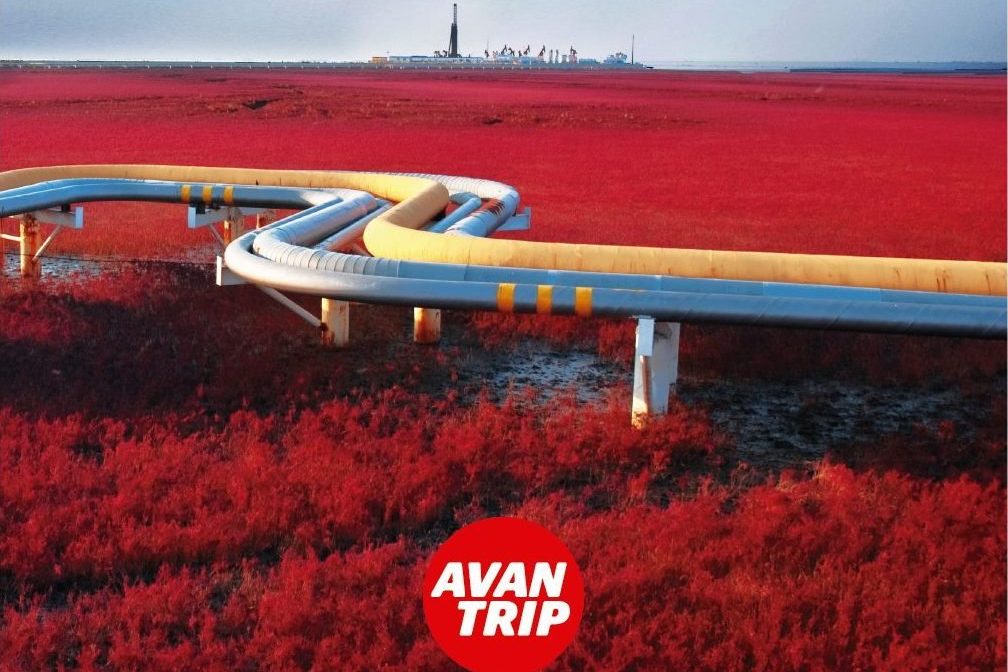 Avantrip.com is part of Bibam, an Argentina-based travel group that Flight Centre has invested in.