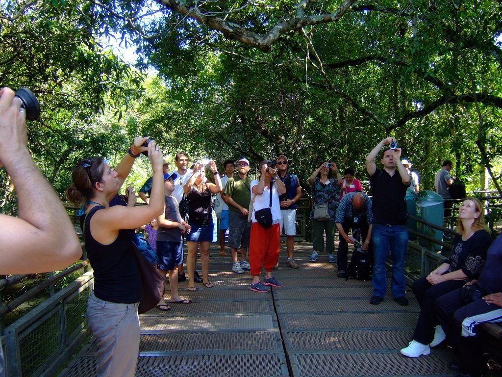 Many UNESCO sites lack an extensive tourism management plan. Pictured are tourists taking photos at Iguazu National Park in Argentina, a UNESCO natural World Heritage Site.
