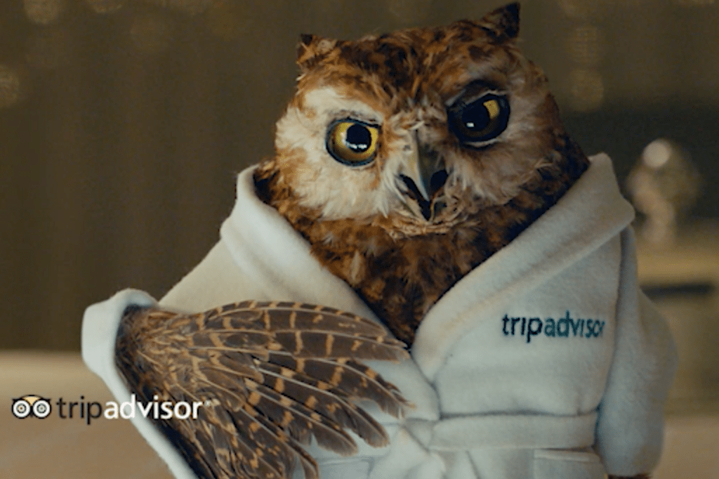The photos are stills from TripAdvisor's 'Little Wiser' series of TV advertisements. The owl, inspired by TripAdvisor's Ollie the Owl logo, serves as the TripAdvisor spokesperson in the campaign.