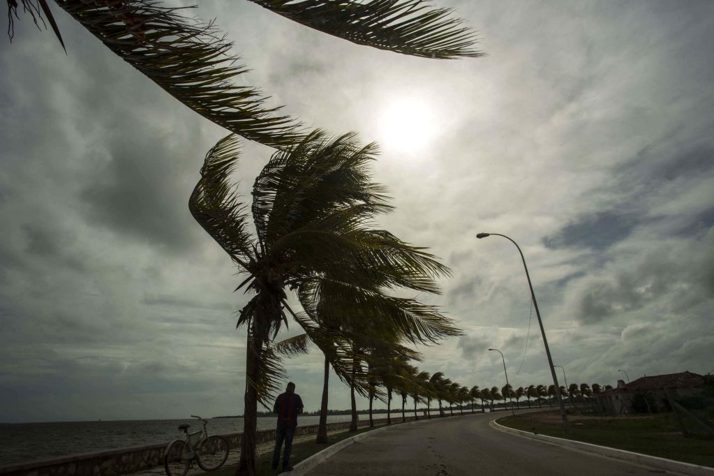Winds brought by Hurricane Irma blow palm trees lining the seawall in Caibarien, Cuba, on Friday.