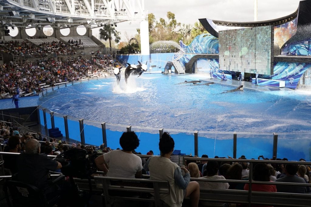SeaWorld in Orlando, Florida, on February 12, 2018. The company is seeing numerous executives leave as it struggles to recover from backlash related to the documentary film Blackfish. 