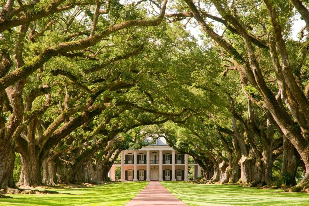 Oak Alley Plantation in Louisiana is among the destinations served by luxury road trip company All Roads North.