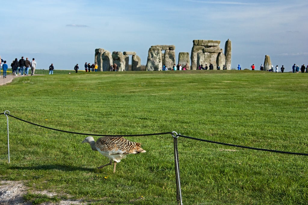 UNESCO World Heritage Sites like Stonehenge in the United Kingdom, pictured here, were asked to submit a state of conservation report to UNESCO this year.