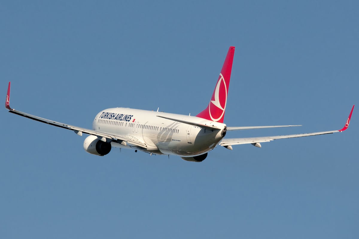 Turkish Airlines is among the more successful national carriers, because even though the government owns 49 percent, it does not meddle much in day-to-day affairs. Pictured is one of the airline's Boeing 737s.