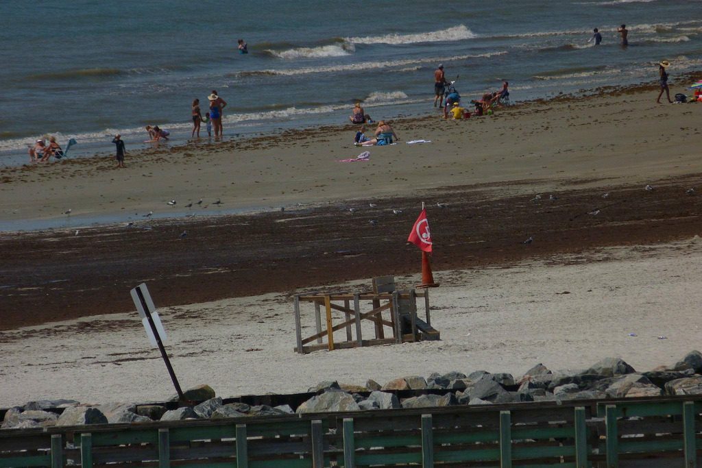 This year's red tide in Florida is one of the state's worst on record. Pictured is a red tide warning sign at a beach in Brevard, Florida in 2015.