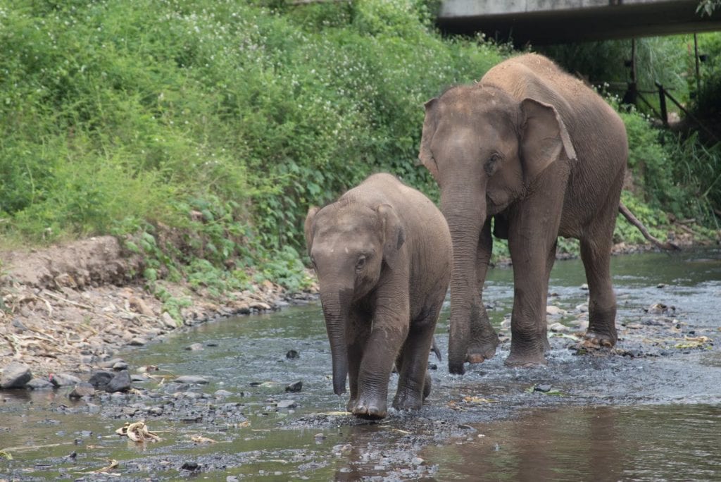 Tourism For Good: How Chiang Mai Is Showing the Way