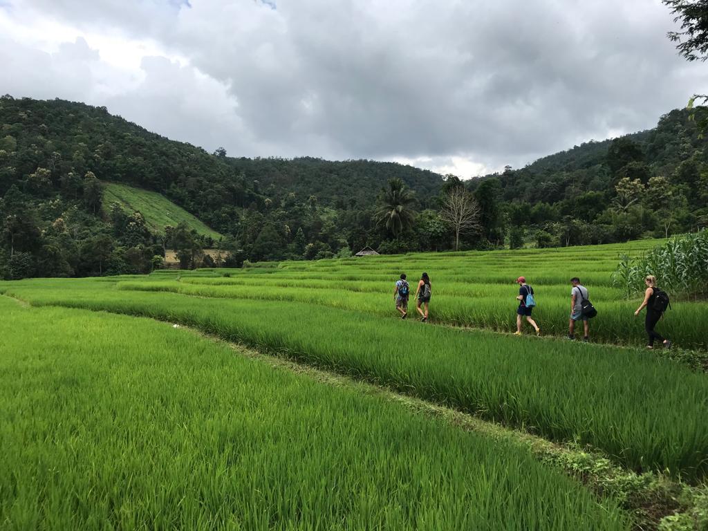 Digital nomads trek to Huay Yuak, a village of white Karen hill tribe people (Mae Win sub-district, Mae Wang district, Chiang Mai). 