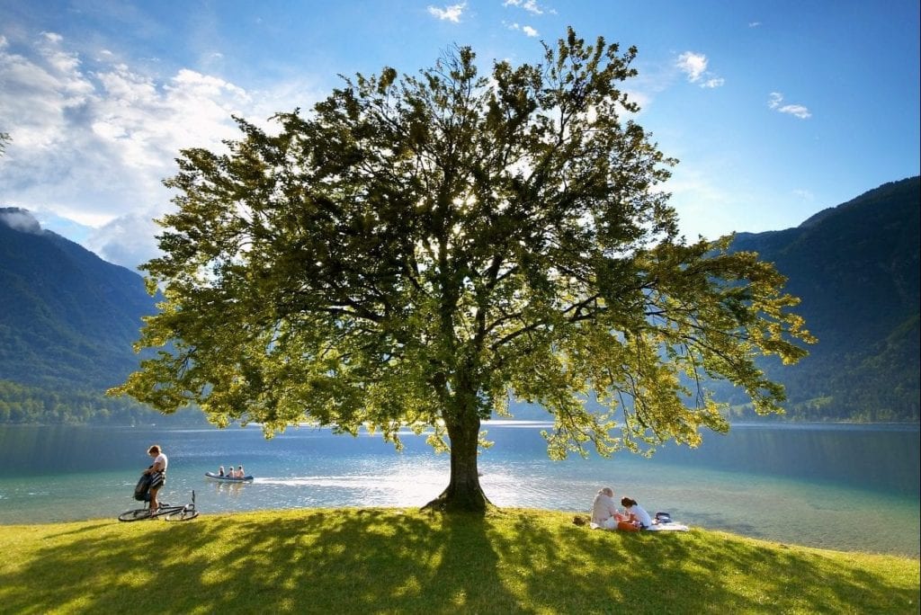 The Bohinj lake in Slovenia. The country is pushing its green credentials.