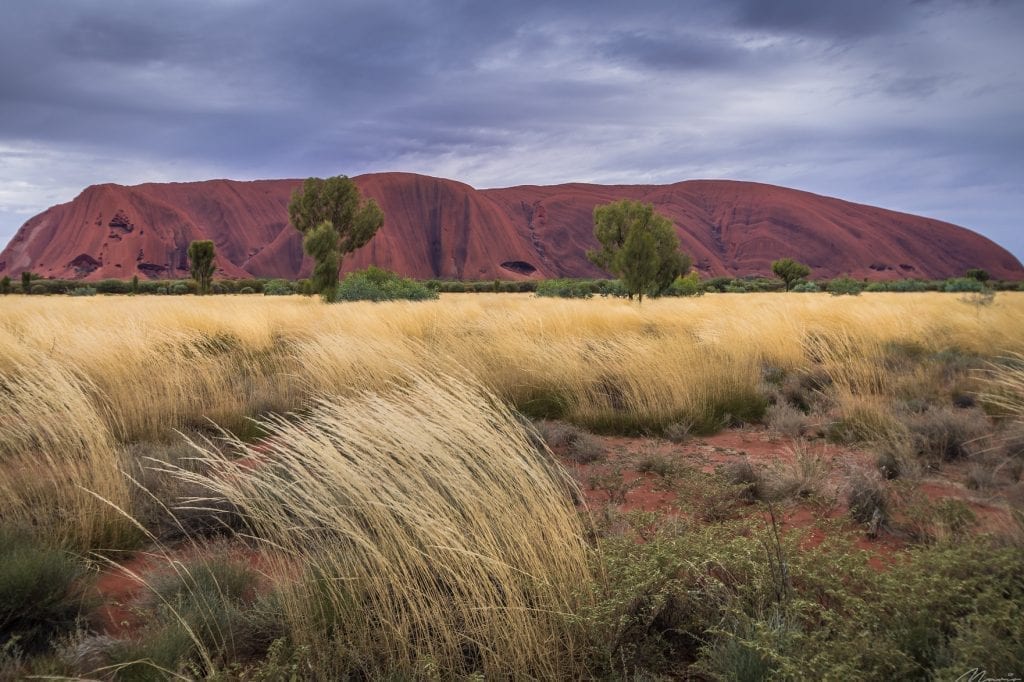 Ayers Rock, or Uluru, is an Australian tourism icon. October 26, 2019, marks the start of a ban against climbing the iconic monolith, which is sacred to the Anangu people.