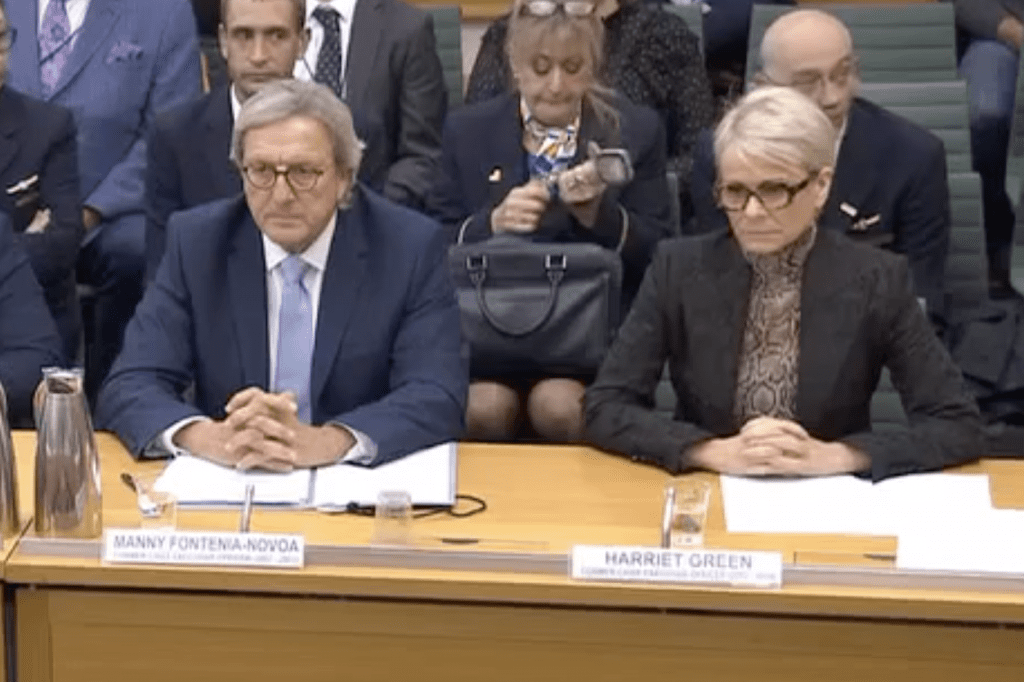 Harriet Green and Manny Fontenla-Novoa, former Thomas Cook CEOs  appearing at an inquiry into the collapse of the company. Thomas Cook Group is currently in liquidation.