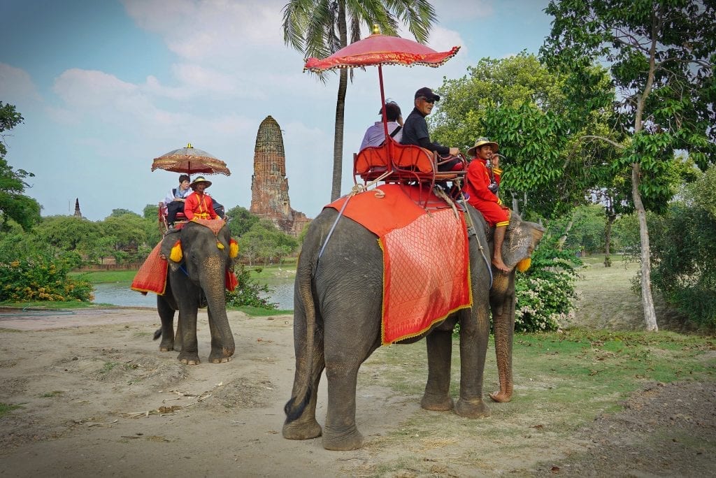 Tourists riding elephants in the Thai city of Ayutthaya.