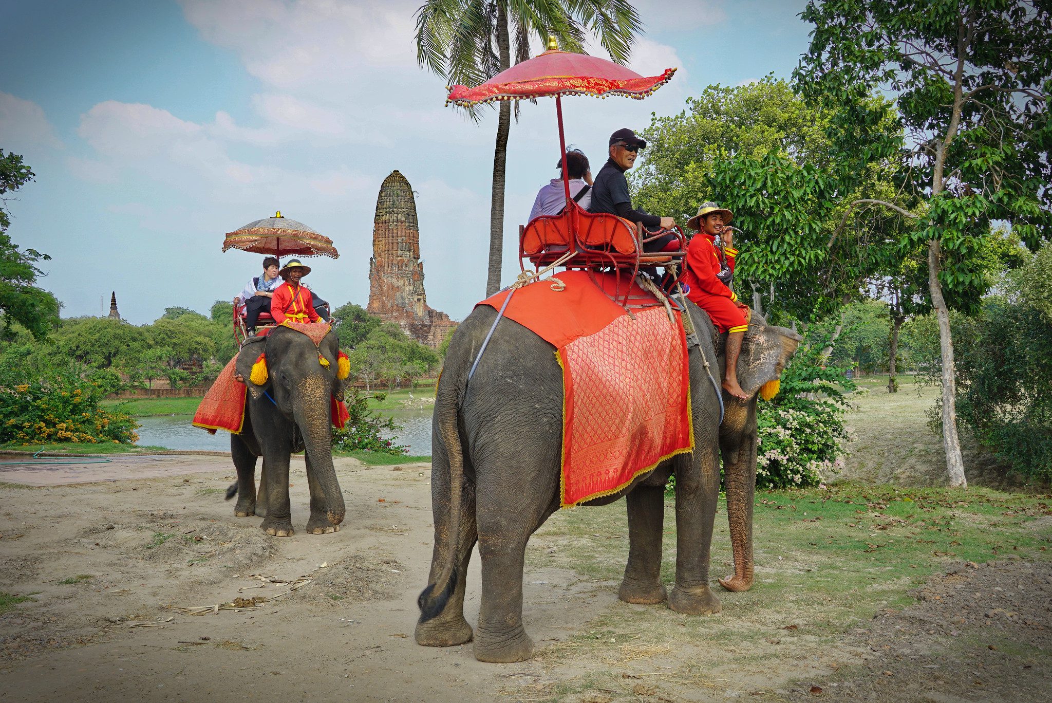 elephant with tourist