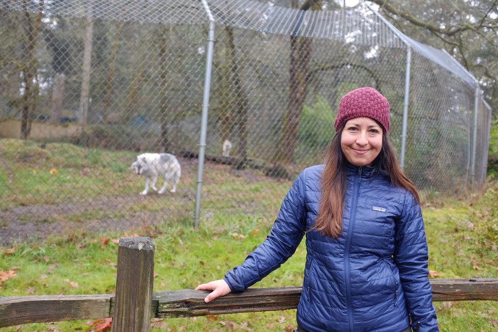 Pamela Maciel Cabañas  in front of Shadow's enclosure at Wolf Haven in Washington state.